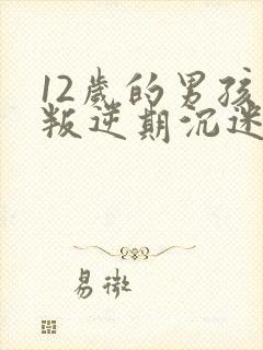 12岁的男孩子叛逆期沉迷手机