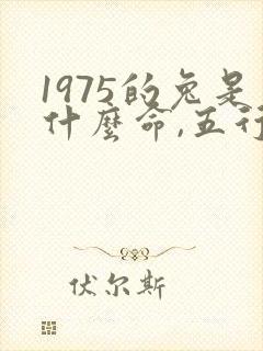 1975的兔是什么命,五行属性