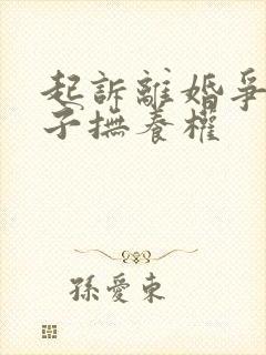 起诉离婚争取孩子抚养权