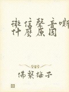 微信声音嘶哑是什么原因