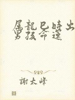 属龙巳时出生的男孩命运