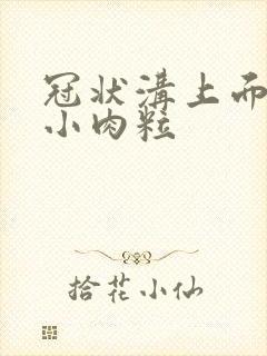 冠状沟上面起了小肉粒