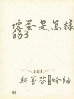 坏蛋是怎样练成的3封面