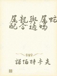 属龙与属蛇的婚配合适吗