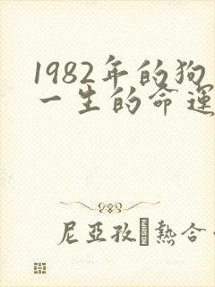 1982年的狗一生的命运