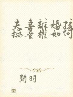 夫妻离婚孩子的抚养权如何判决