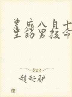 农历八月十六出生的男孩命运如何