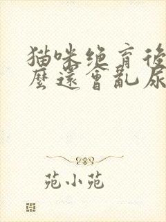 猫咪绝育后为什么还会乱尿