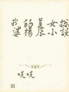 我的美女总裁老婆杨辰小说