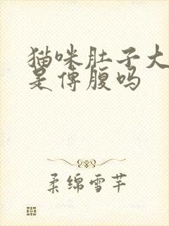 猫咪肚子大一定是传腹吗