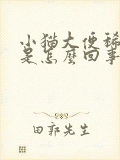 小猫大便稀带血是怎么回事封面