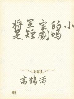 将军家的小娘子是短剧吗