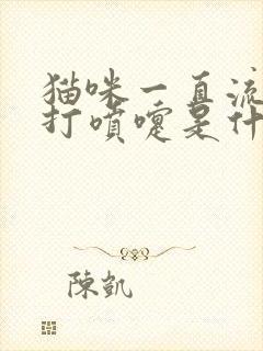 猫咪一直流鼻涕打喷嚏是什么原因