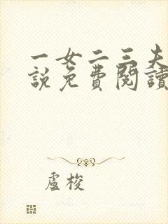 一女二三夫的小说免费阅读全文