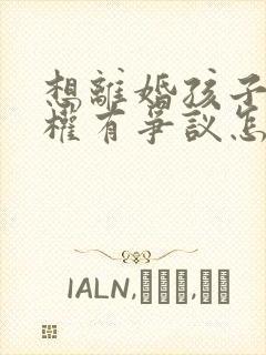 想离婚孩子抚养权有争议怎么办