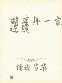 胡蜜丹一家三口近照封面