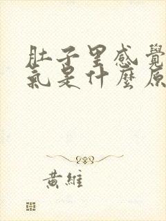 肚子里感觉有股气是什么原因封面