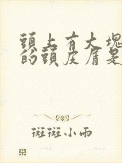 头上有大块成片的头皮屑是怎么回事封面