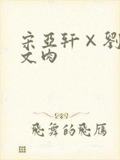 宋亚轩×刘耀文文肉