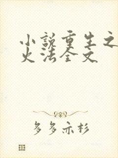 小说重生之狂暴火法全文