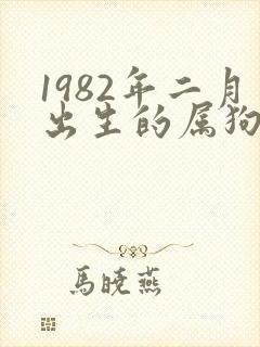 1982年二月出生的属狗女人一生命运封面