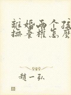 离婚两个孩子的抚养权怎么争取封面