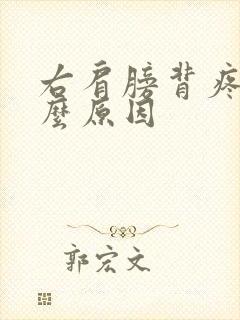 右肩膀背疼是什么原因封面