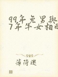 99年兔男与97年牛女相配的婚姻如何