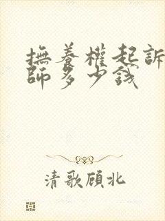 抚养权起诉找律师多少钱