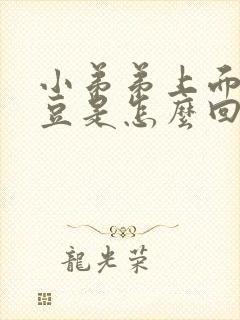 小弟弟上面长豆豆是怎么回事