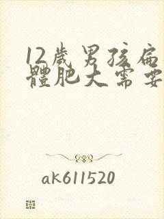 12岁男孩扁桃体肥大需要做手术吗