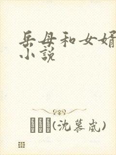 岳母和女婿乱情小说封面