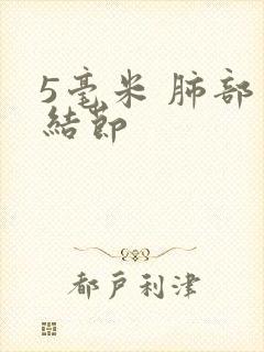 5毫米 肺部有结节