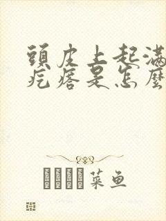 头皮上起满了小疙瘩是怎么回事