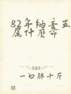 82年纳音五行属什么命