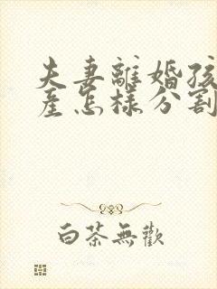 夫妻离婚孩子财产怎样分割问律师