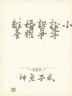 离婚诉讼小孩抚养权争夺