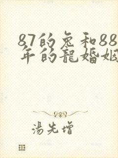 87的兔和88年的龙婚姻怎么样