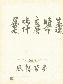 属鸡亥时生男孩是什么命运