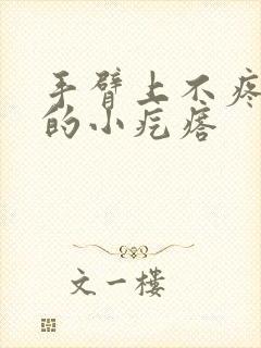 手臂上不疼不痒的小疙瘩封面