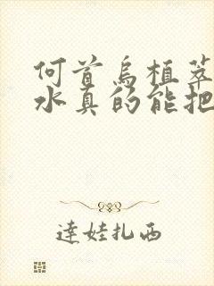 何首乌植萃洗发水真的能把白头发洗黑吗