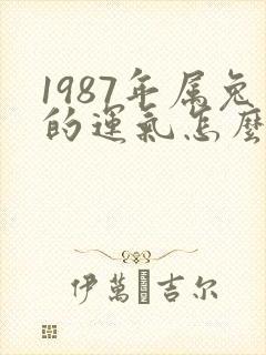 1987年属兔的运气怎么样封面