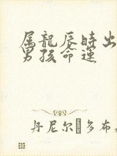 属龙辰时出生的男孩命运