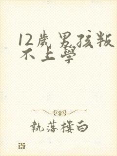 12岁男孩叛逆不上学封面