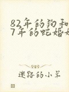 82年的狗和77年的蛇婚姻相配吗