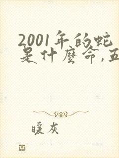 2001年的蛇是什么命,五行属性