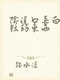 阴道口长白色米粒的东西