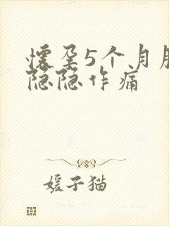 怀孕5个月腹部隐隐作痛封面