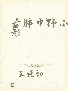 右肺中野小结节影