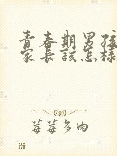 青春期男孩叛逆家长该怎样做